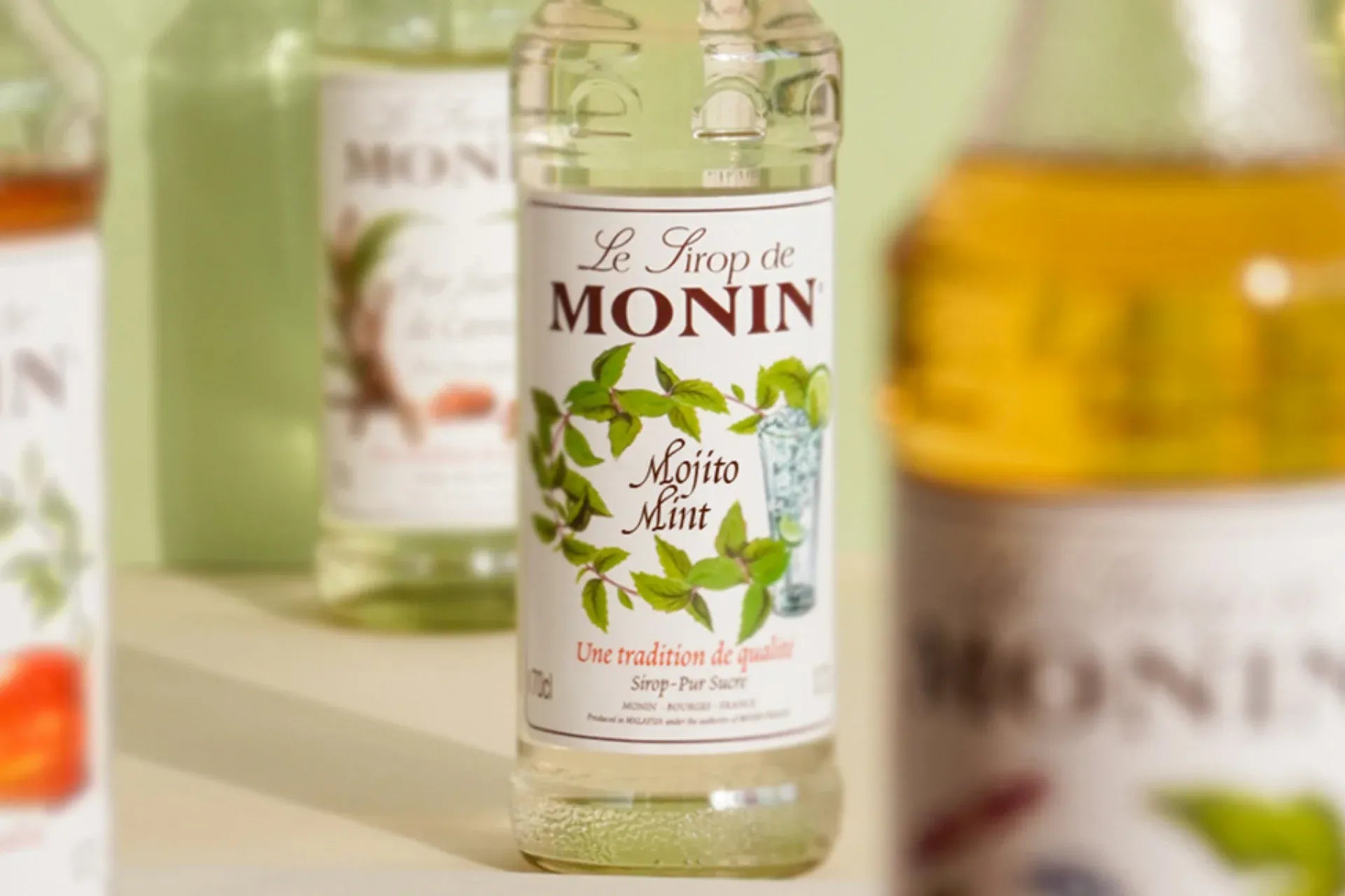 This Summer, Keep It Cool with Mojito Mint Drinks