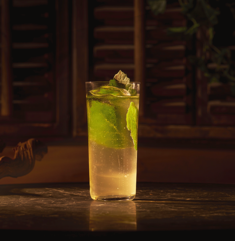 Anise Vodka Rickey
