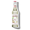 MONIN Ginger Syrup
