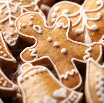 MONIN Gingerbread Cookies